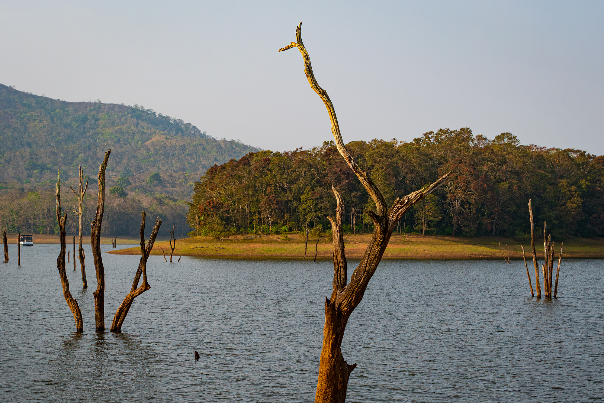 Thekkady
